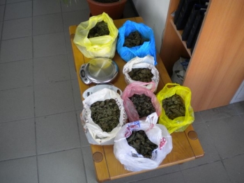 Συνελήφθη 65χρονος με 2 κιλά χασίς στη Νεμέα