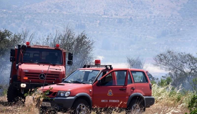 Φωτιά στον Όλυμπο - Καίει σε δύσβατη περιοχή στην Καρυά Ελασσόνας