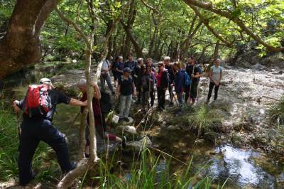 Πεζοπορικές εξορμήσεις με τους Περιηγητές Μεσσηνίας (φωτογραφίες)