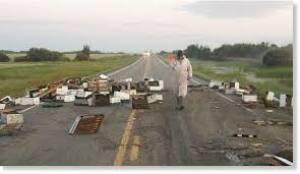 Κι ύστερα ήρθαν οι μέλισσες...