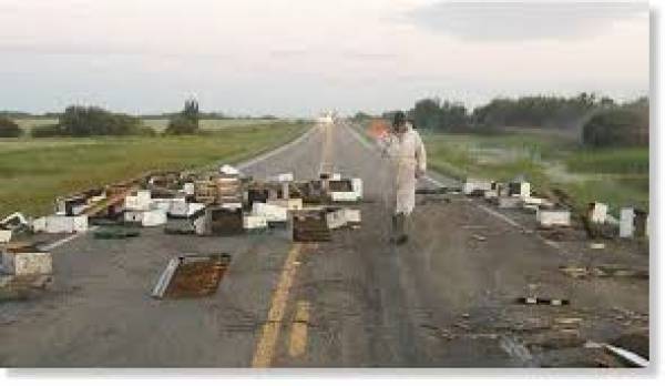 Κι ύστερα ήρθαν οι μέλισσες...