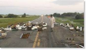 Κι ύστερα ήρθαν οι μέλισσες...