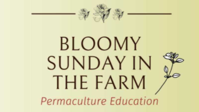 “Ανοικτή Κυριακή” στο Αγρόκτημα Φοίφα