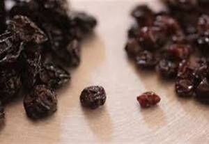 ΣΚΟΣ προς σταφιδοπαραγωγούς:"Μην βιαστείτε να πουλήσετε"