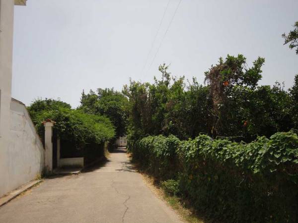 Σύσκεψη για τα σχέδια Κηπούπολης, Βέργας και Μικρής Μαντίνειας