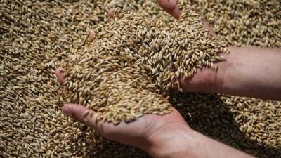 Μειωμένες οι εξαγωγές ουκρανικών σιτηρών τον Νοέμβριο