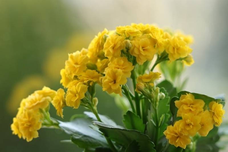 Τι λένε τα ζώδια σήμερα (25/9)