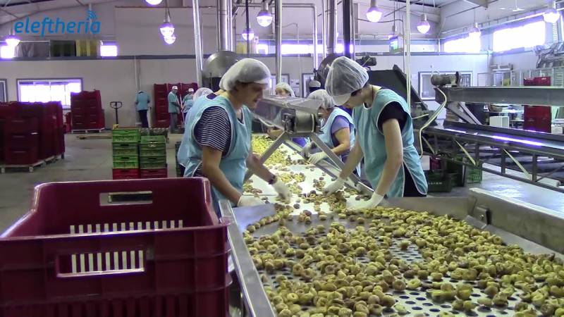 ΣΥΚΙΚΗ: Συμφωνία για συμβολαιακή γεωργία με την Τράπεζα Πειραιώς