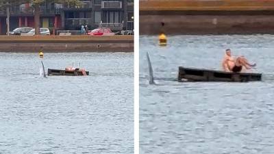 Η στιγμή που δύο γιγάντιες φάλαινες... ξυπνούν αμέριμνο κολυμβητή (Βίντεο)