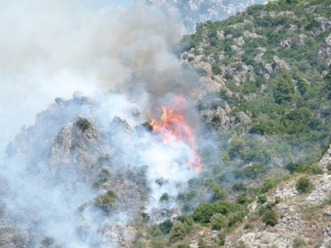 Αναβολή πήρε ο μελισσοκόμος που κατηγορείται για φωτιά στη Βέργα