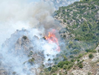 Αναβολή πήρε ο μελισσοκόμος που κατηγορείται για φωτιά στη Βέργα