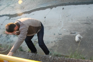 Διάσωση εγκλωβισμένου σκύλου στο Νέδοντα (φωτογραφίες)