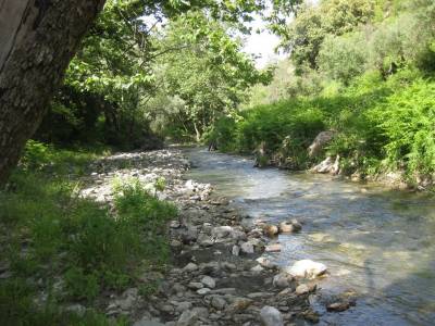 Χαριστική βολή στο φυσικό περιβάλλον της Ελλάδας
