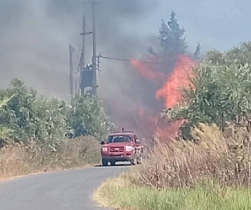 Μεσσηνία: Πυρκαγιά στη ΒΙΠΕ Μελιγαλά