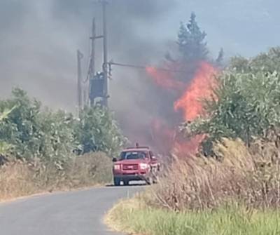 Μεσσηνία: Πυρκαγιά στη ΒΙΠΕ Μελιγαλά