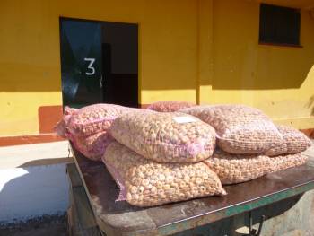 400 τόνοι λιγότερα σύκα φέτος σε σχέση με πέρσι