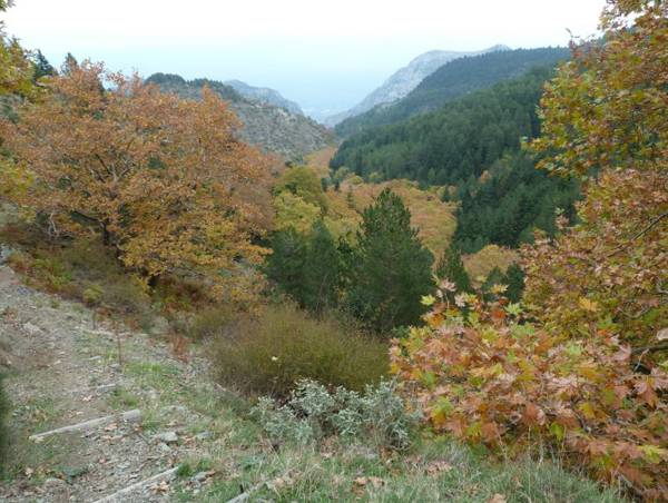 Για την αναγκαία ανάδειξη του Ταϋγέτου