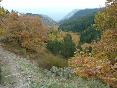 Για την αναγκαία ανάδειξη του Ταϋγέτου