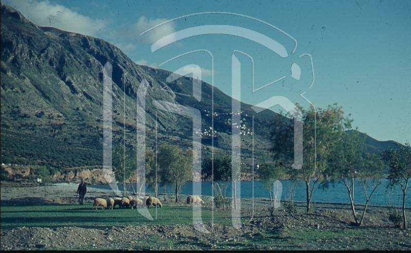 Οταν έβοσκαν πρόβατα