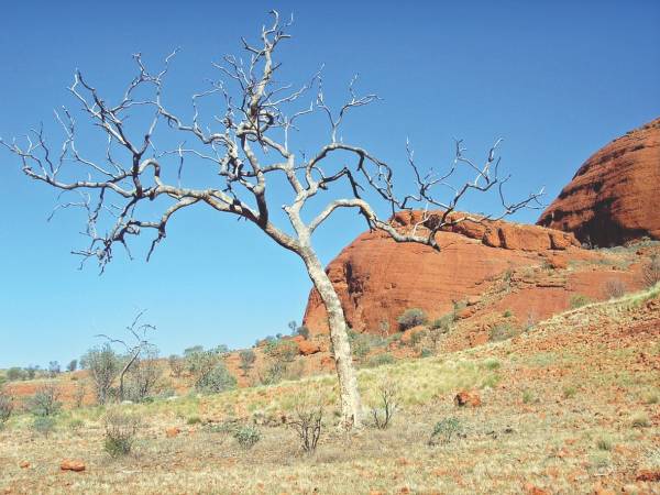 Η επενδυτική άπνοια βλάπτει σοβαρά τα... εισοδήματα